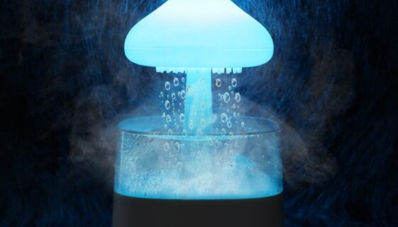 Humidifier